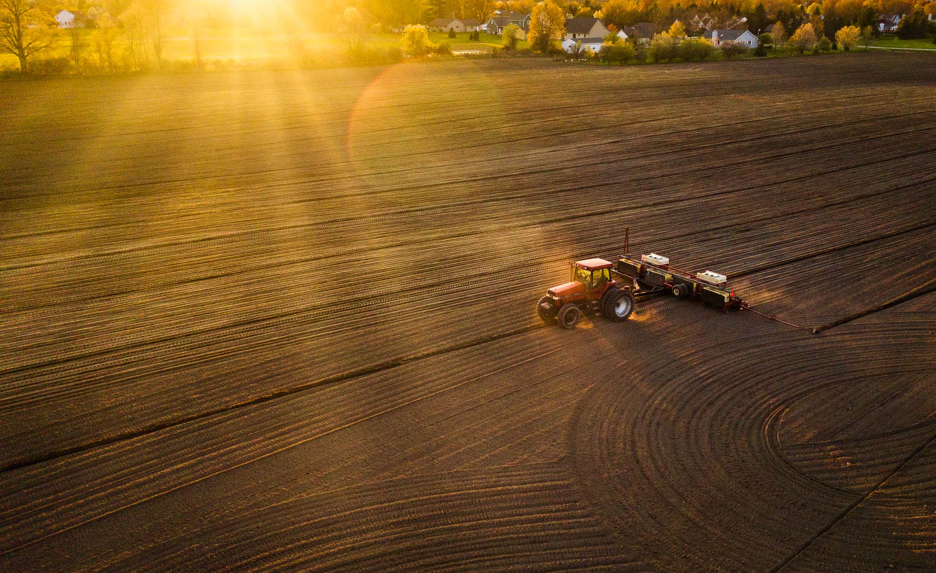 fieldSunset