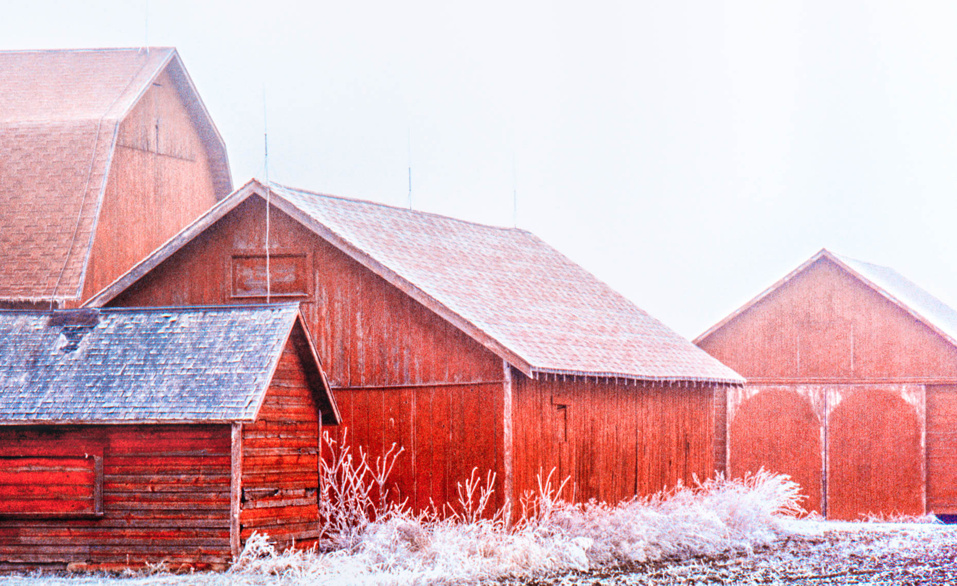 frozenFarm_2